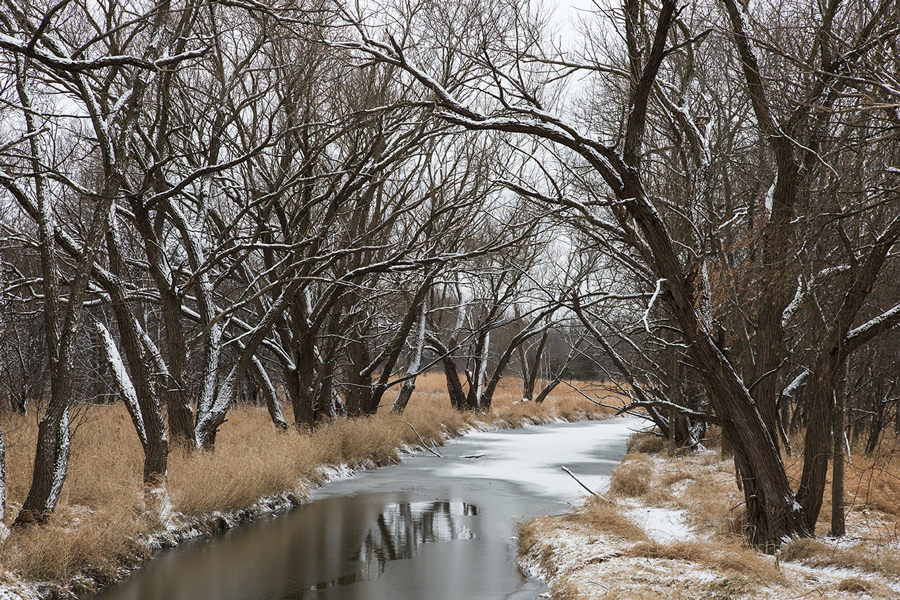 Urban Wilderness First snow in Menomonee River Parkway A photo essay