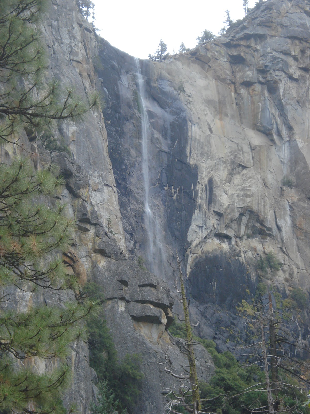 With Strings Attached Road Scholar Yosemite