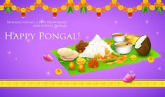 happy pongal