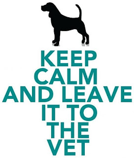 keep calm and leave it to the vet