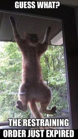 Meme Creator Funny Happy Birthday Tom A Day Late Hope Your Day