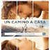 Lion, Un camino a casa 2016 pelicula