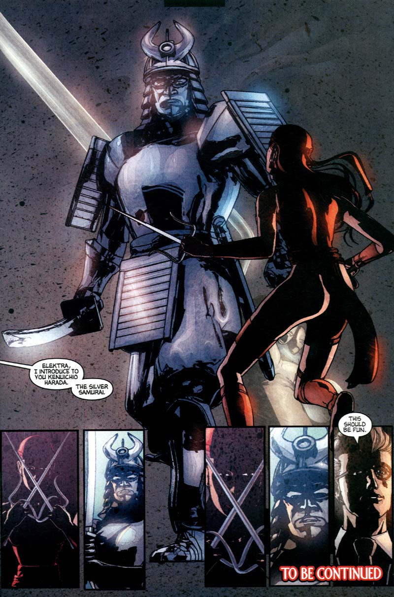 Elektra (2001) Issue #3 #3 - English 22