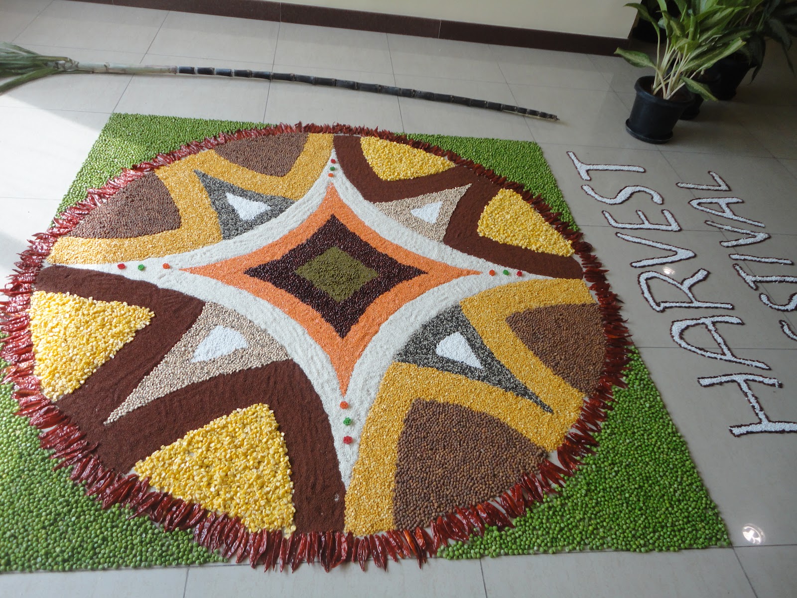 Color Grain Rangoli