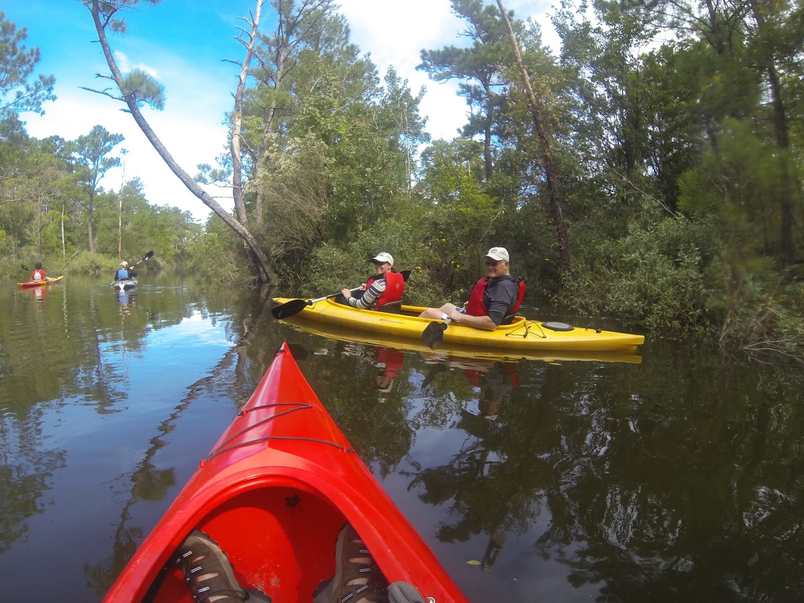 American Travel Journal Kayaking in Kitty Hawk Woods Coastal Reserve