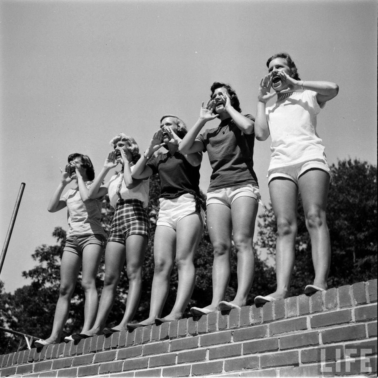 No Charge Biggest Seniors Singles Dating Online Services