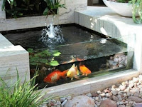 Kolam minimalis dengan kaca dan air terjun - tukang kolam koi di Sidoarjo dan Gresik Kolam minimalis dengan kaca dan air terjun - tukang kolam koi di Sidoarjo dan Gresik