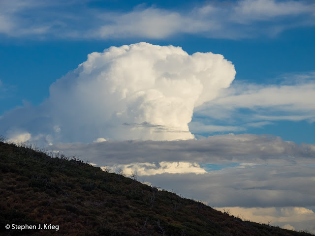 Thunderhead cloud, Mesa Verde National Park, Colorado