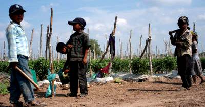 Niños trabajando Foto de niños trabajando a muy corta edad