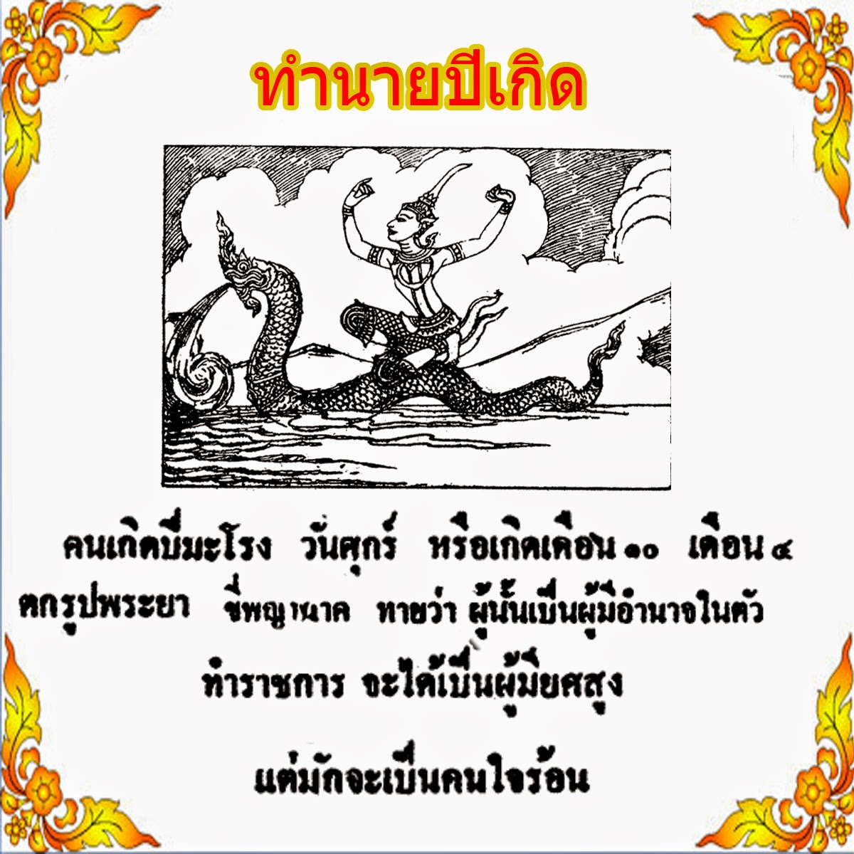 My Image 12