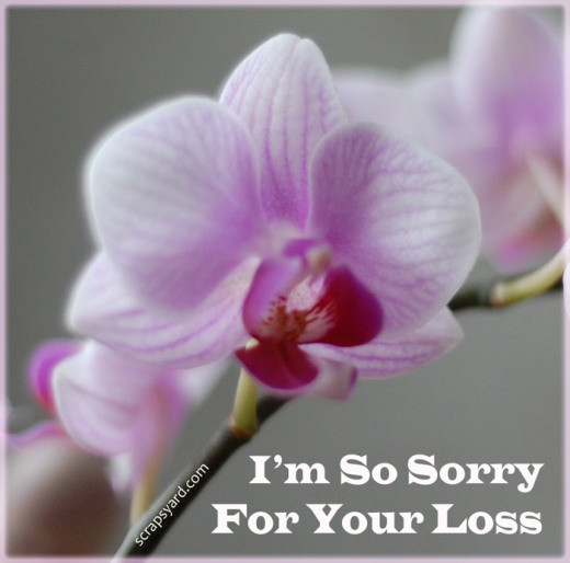 GALLERY FUNNY GAME: Sympathy Cards Sayings