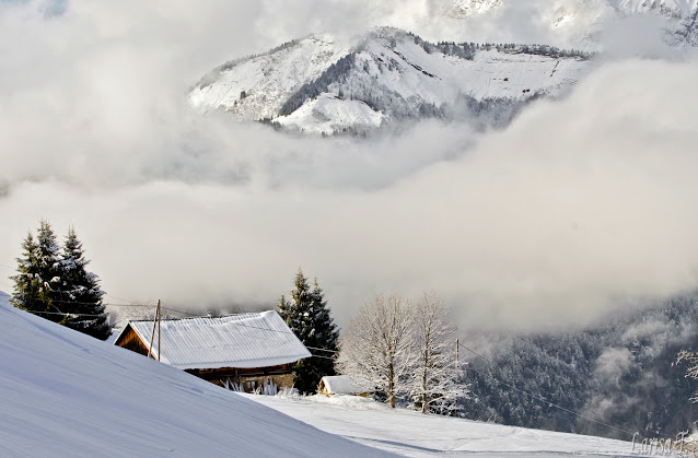 Lachat Muntii Alpi Savoie Franta