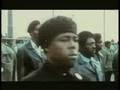 The Black Panther Party