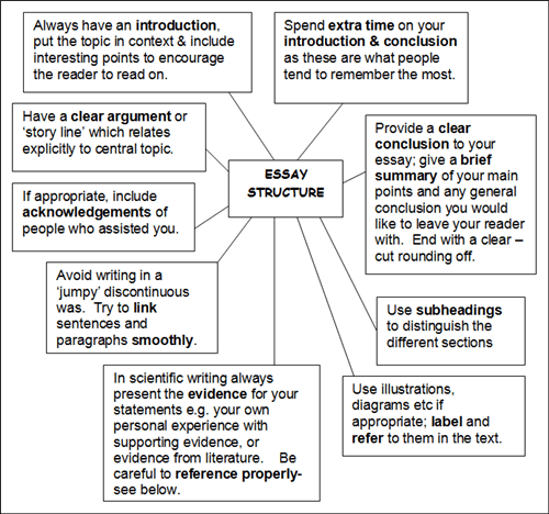 Essay structure