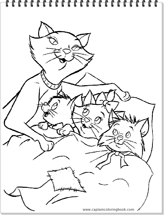 Your Seo Optimized Title