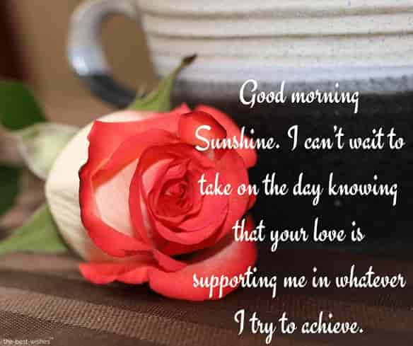 best-good-morning-messages-for-him-with-a-red-rose best good morning messages for him with a red rose