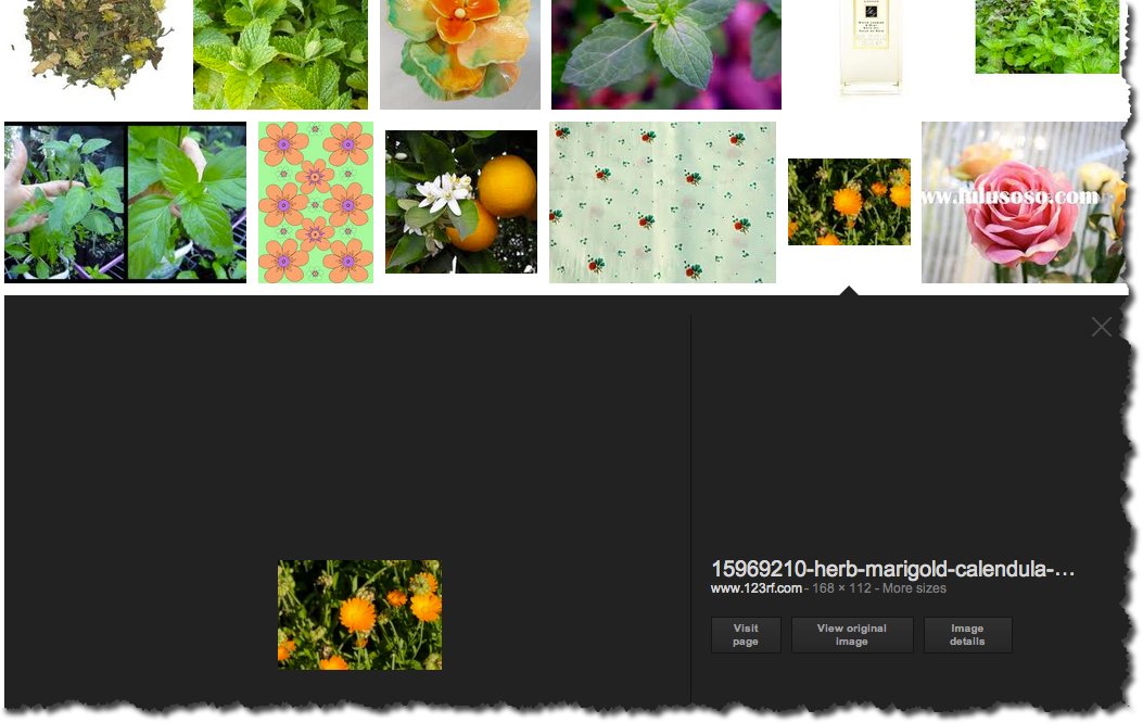 SearchReSearch Answer What kind of flower is it?