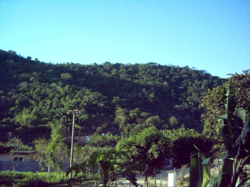 A Mãe Natureza pede socorro...