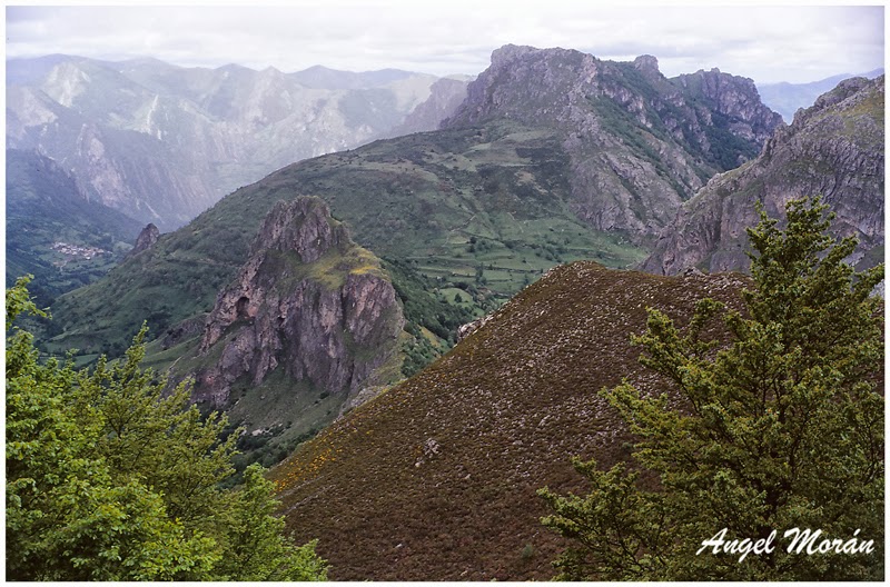 Saliencia: SOMIEDO. El Rebezu.