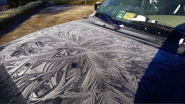 صور سيارات أكثر من 20 سيارة في الشتاء تحولت إلى عمل فني