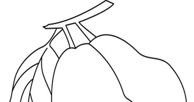 gambar mewarnai anak paud buah jambu