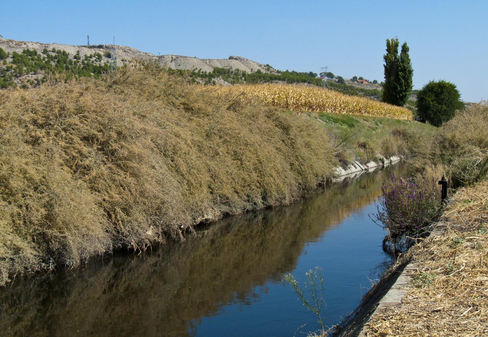 DE PASEO POR AÑOVER DE TAJO