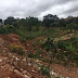 Invasores cercam e desmatam terreno em Ceilândia
