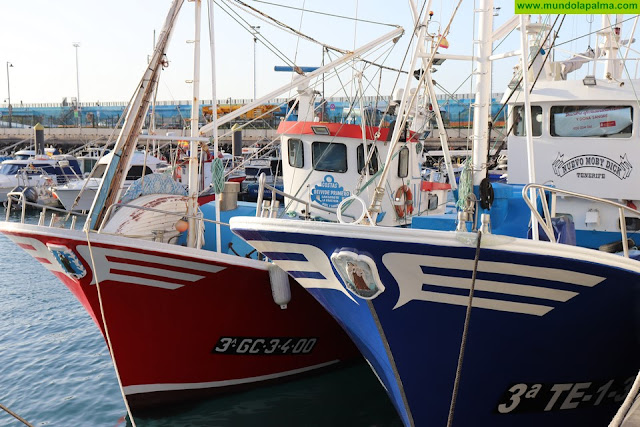 Comienza la campaña de pesca de atún rojo para 249 embarcaciones en las islas