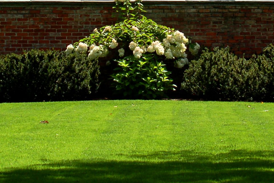 Marzua: Cómo cuidar el césped de su jardín para que esté perfecto en verano
