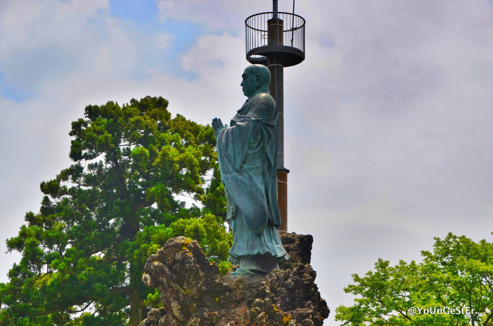 Hydrangea Serrata Stock Photos Hydrangea Serrata Stock Images