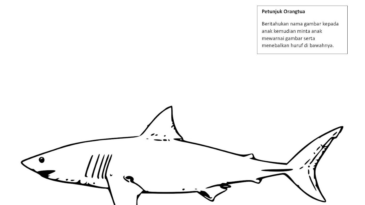 Menebalkan Huruf H Dan Mewarnai Gambar Hiu
