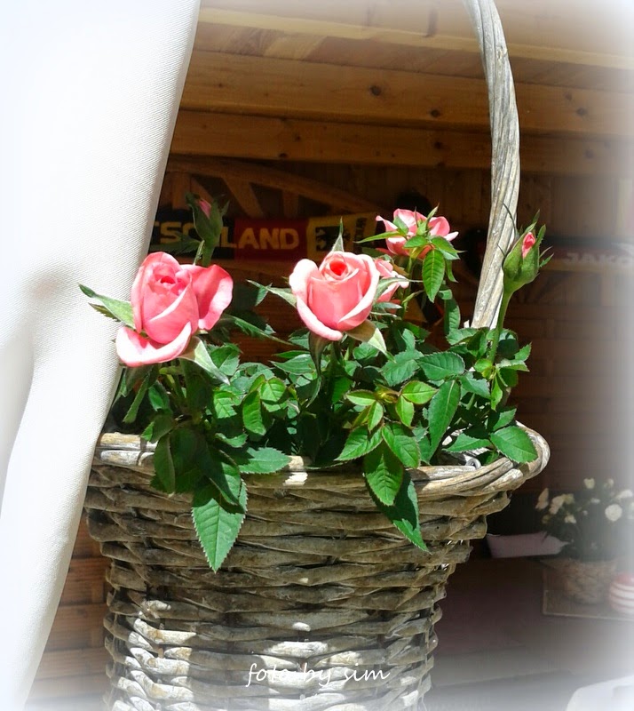 Simi´s Foodblog: Pfannkuchen