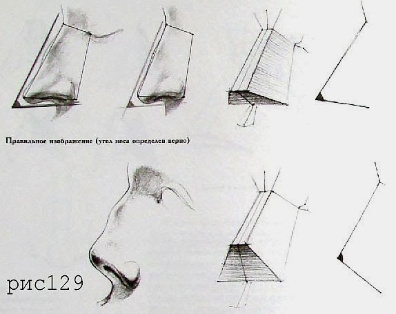 Носик схема. Нос снизу рисунок. Построение носа. Поэтапное построение носа. Схема рисования носа.