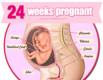pengalaman hamil kali pertama, hamil kali pertama, hamil 24 minggu, hamil 6 bulan, pengalaman hamil, pertama kali nak jadi mama
