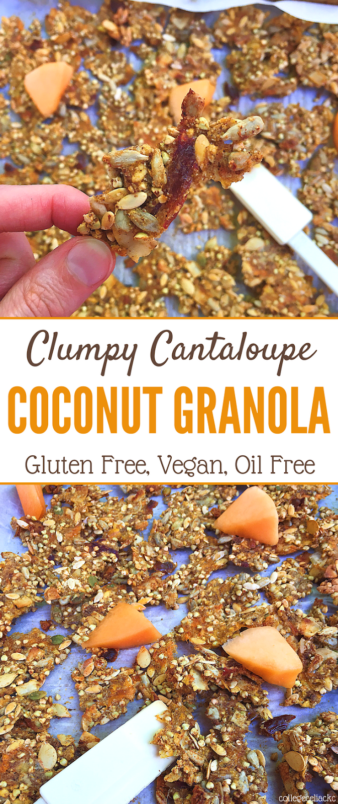 Whether you're craving some healthy granola or are looking for a gluten free snack, breakfast or dessert, my homemade vegan granola is exactly what you need! This Clumpy Cantaloupe Coconut Granola is oil free, naturally sweetened by fruit and utilizes parts of a cantaloupe - the seeds and pulp - that is often thrown away. Reducing food waste has never been so tasty! Clumpy Cantaloupe Coconut Granola (Gluten Free, Vegan, Oil Free)
