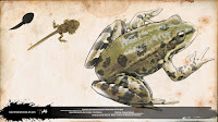 rana común pelophylax perezi