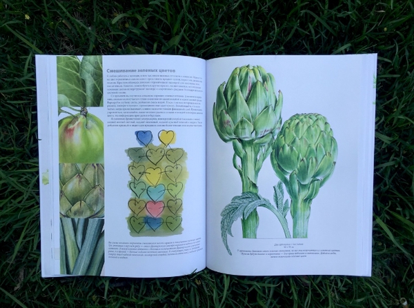 Как рисовать акварелью советы от художницы 4