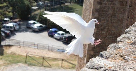 Frasi Religiose Per Pasqua Auguri Con Giovanni Paolo Ii Madre Teresa Di Calcutta E Non Solo Linkuaggio