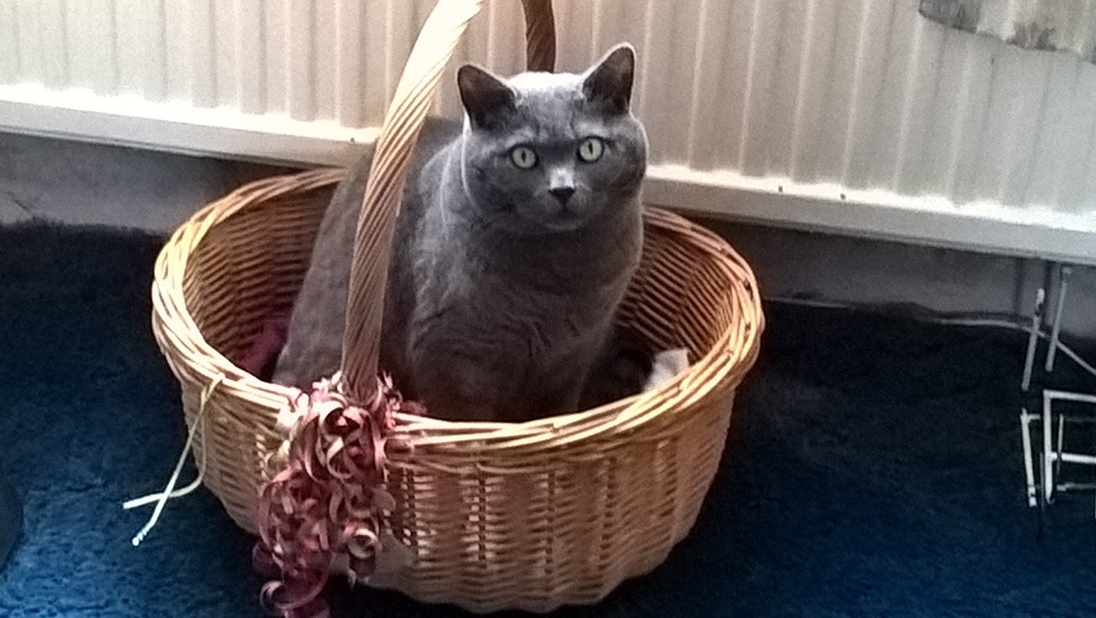 The Frugal KnitWit Slow Cooker 'Steamed' Suet Pudding