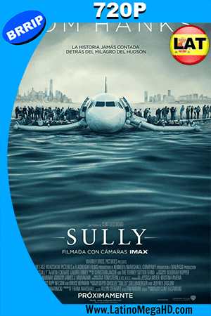 Sully: La Hazaña De Husdon (2016) Latino HD 720p (2016)