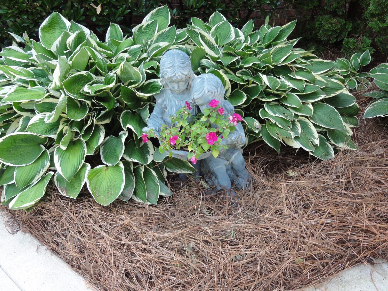 HappyHome Of Pine Straw & Hostas