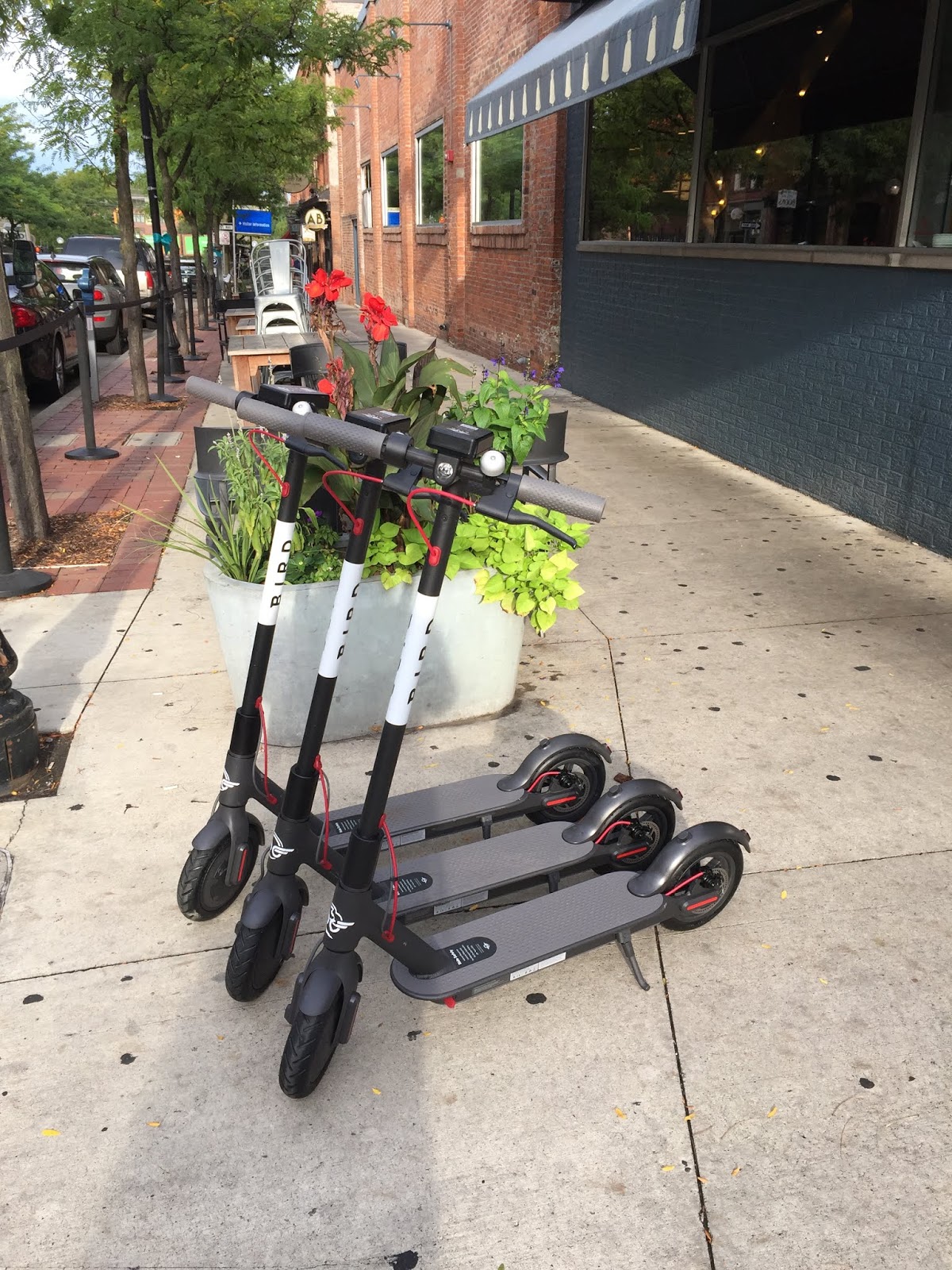 Damn Arbor Bird Scooters have arrived in Ann Arbor