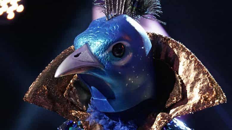The Peacock from the Masked Singer accidentally revealed The Peacock from the Masked Singer accidentally revealed