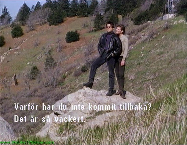 We Like TV Screen: The Fear (1995)