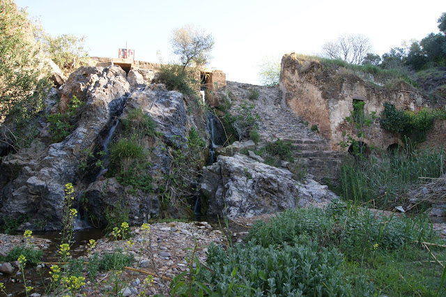 Presa en el cauce del arroyo del Concejo con un antiguo molino harinero .