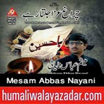 http://www.humaliwalayazadar.com/2014/10/mesam-abbas-nayani-nohay-2015.html