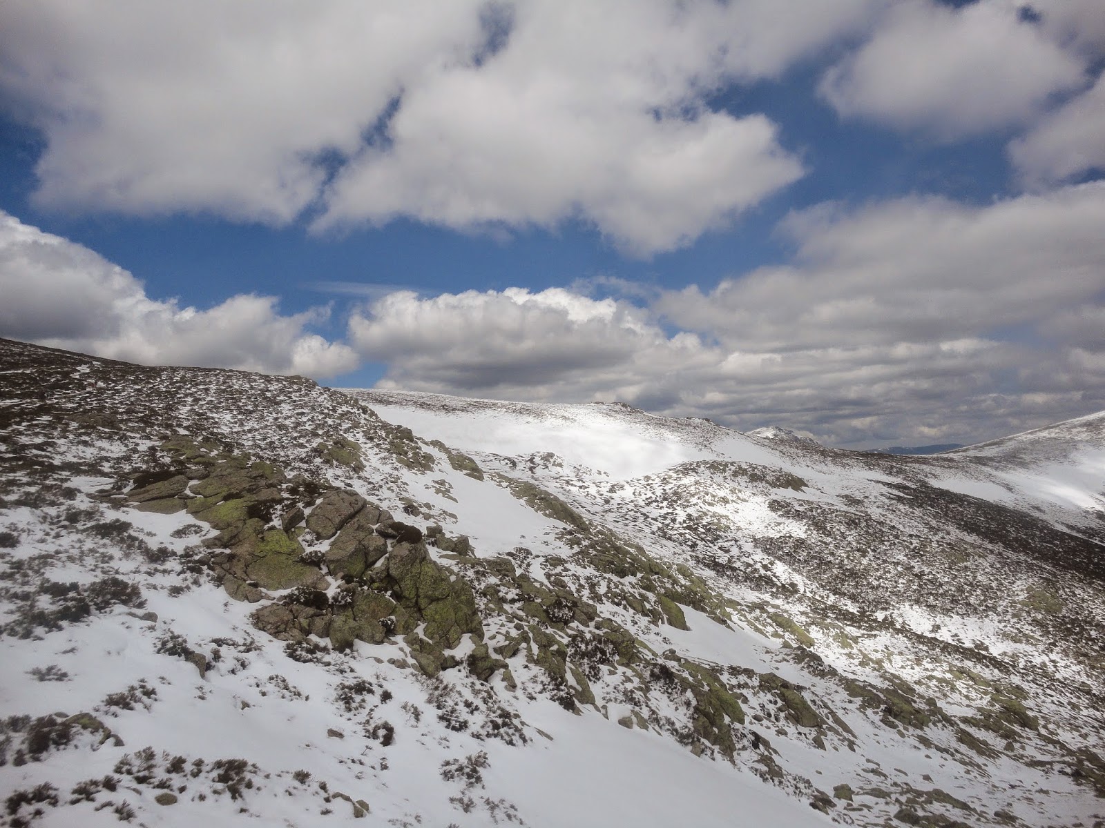 BLOGNATURA VENTISQUERO DE LA CONDESA