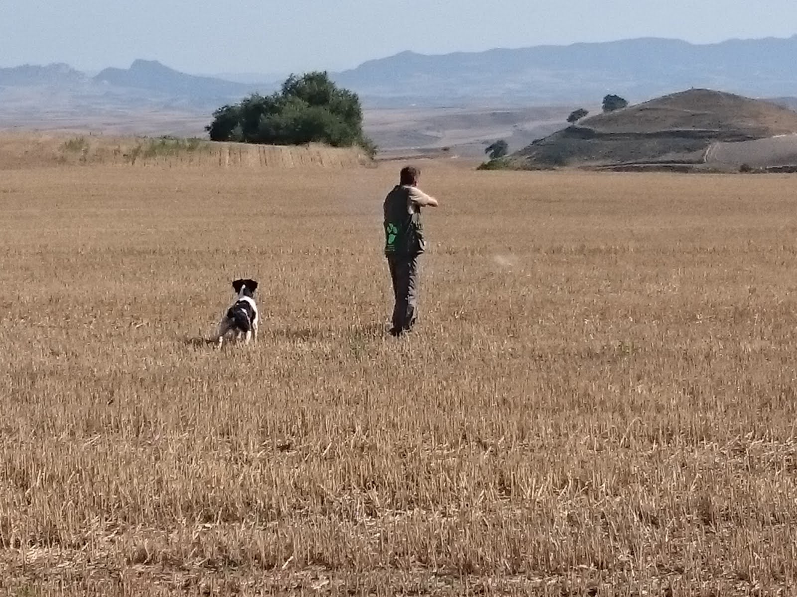 Entrenamiento junto a Fermín Hernández y su perro IRON respetando el vuelo y tiro en Coto de Burgos