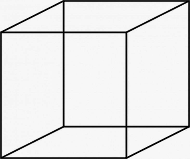 Mixtura ILLUSIONI OTTICHE / Cubo di Necker