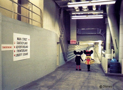 The Walt Disney World Picture Of The Day Magic Kingdom Utilidor the-walt-disney-world-picture-of-the-day-magic-kingdom-utilidor